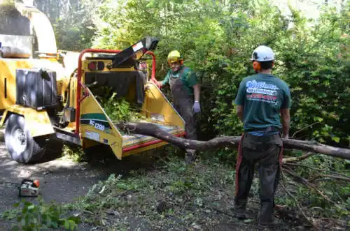 tree services Pleasanton